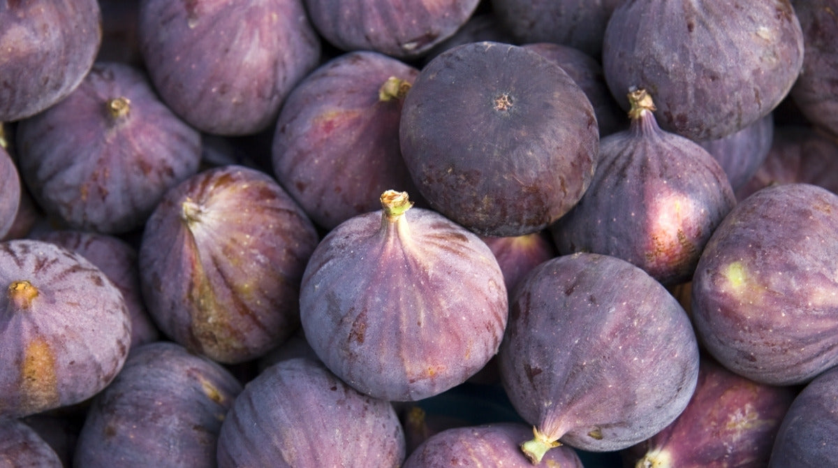Olgun mor incirlerden oluşan yığın, incir sirkesinin ham maddesi