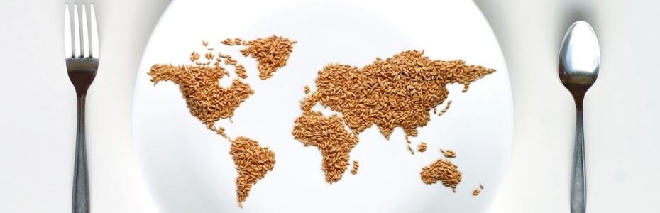 DÜNYA GIDA GÜNÜ VE İSRAFIN ANALİZİ