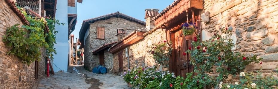 GİZLİ HAZİNE; BİRGİ