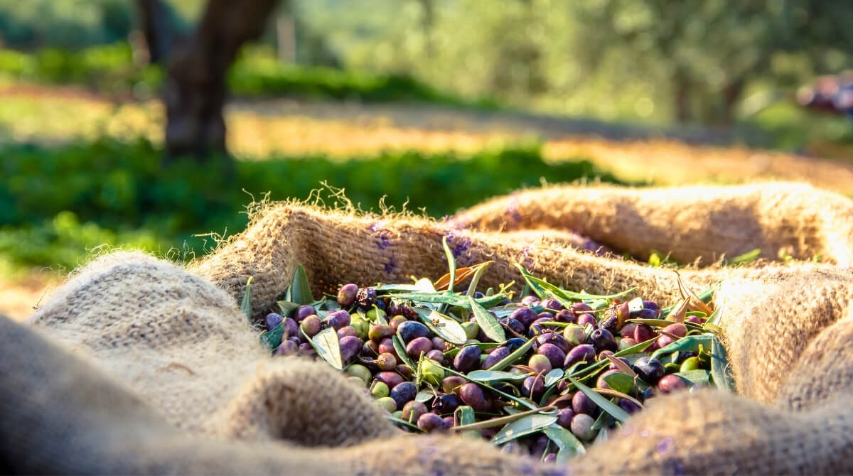 İSTANBUL ŞURACIKTA DURSUN -2-