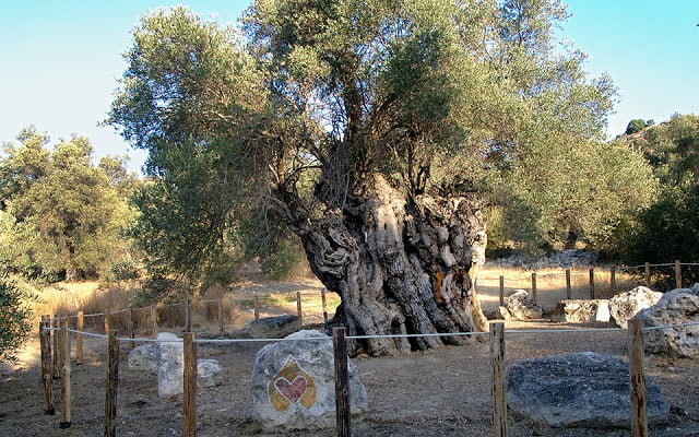 DİLEK YARIMADASI MİLLÎ PARKI