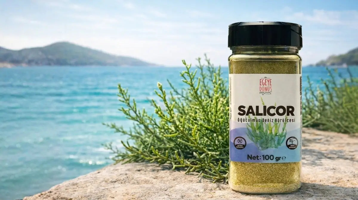 BİTKİSEL TUZLARA SIRADIŞI BİR ÖRNEK: SALICOR (Öğütme Deniz Börülcesi)