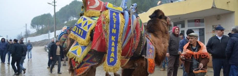 DEVE GÜREŞİNE SANATSAL BİR DOKUNUŞ: CAZGIRLIK