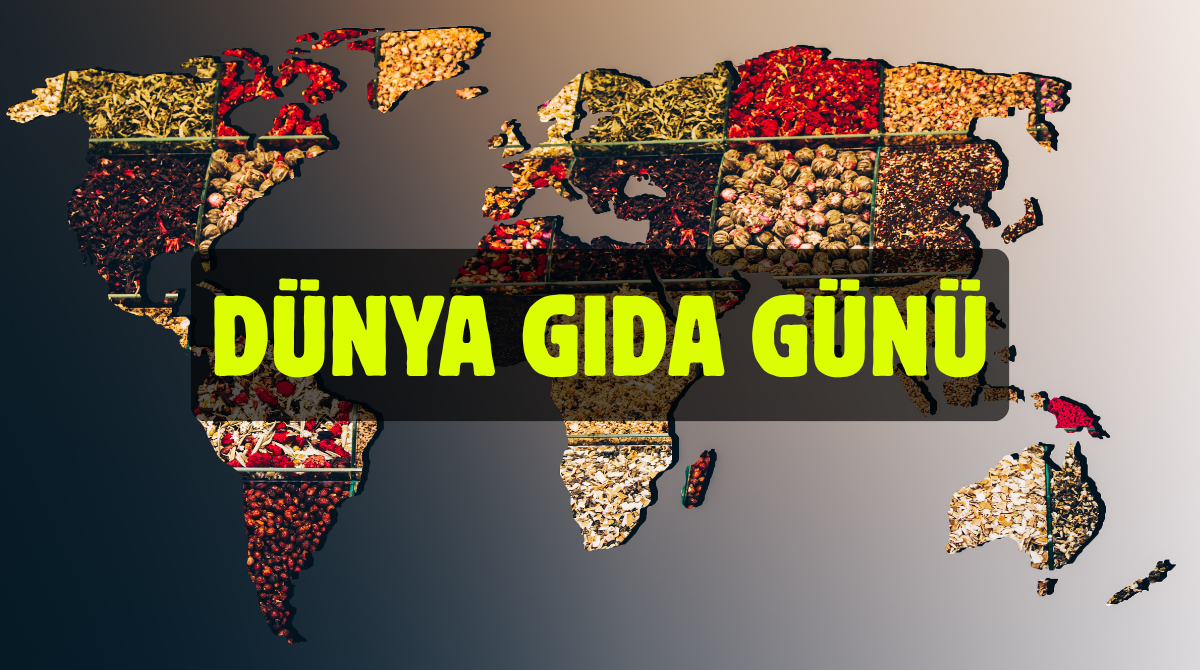 Dünya haritası şeklinde dizilmiş baharatlar ve üzerinde DÜNYA GIDA GÜNÜ yazısı