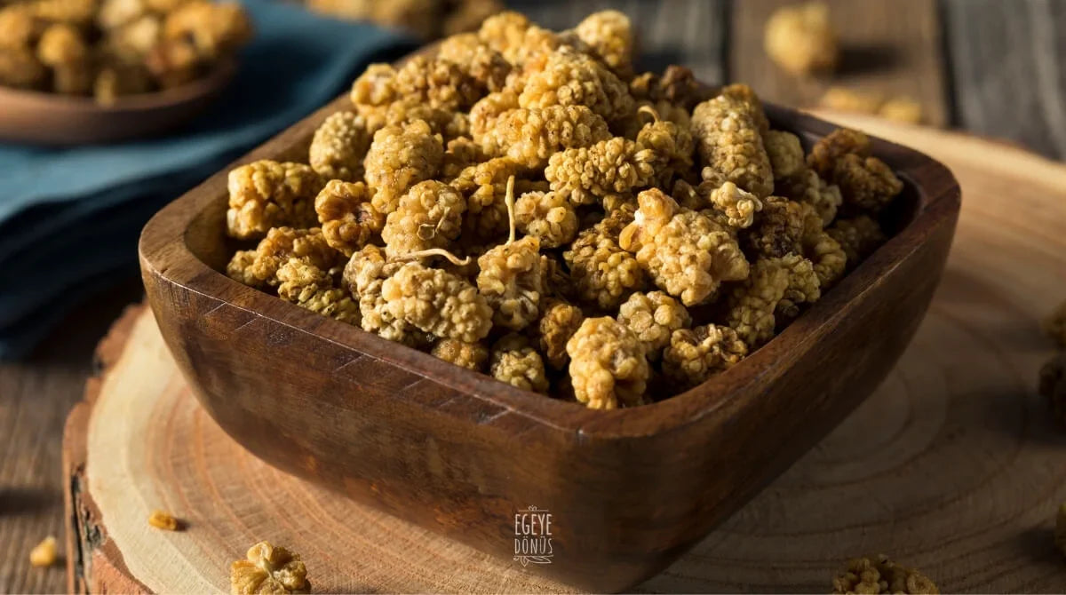 DUT KURUSU FAYDALARI NELERDİR?