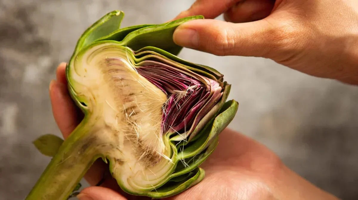 ENGİNAR SUYU FAYDALARI