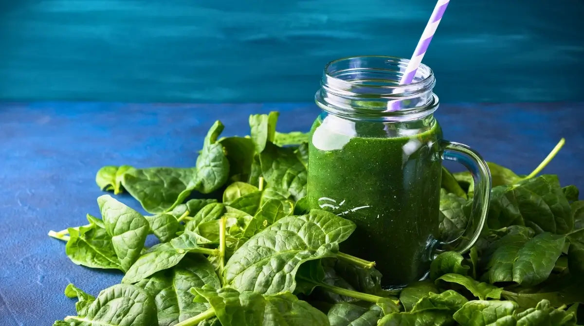 ISPANAK TOZU İLE HAFİFLE