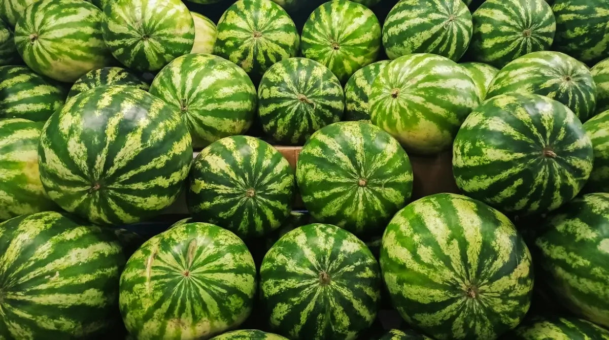 KAPRUZUNUZU NASIL ALIRSINIZ?