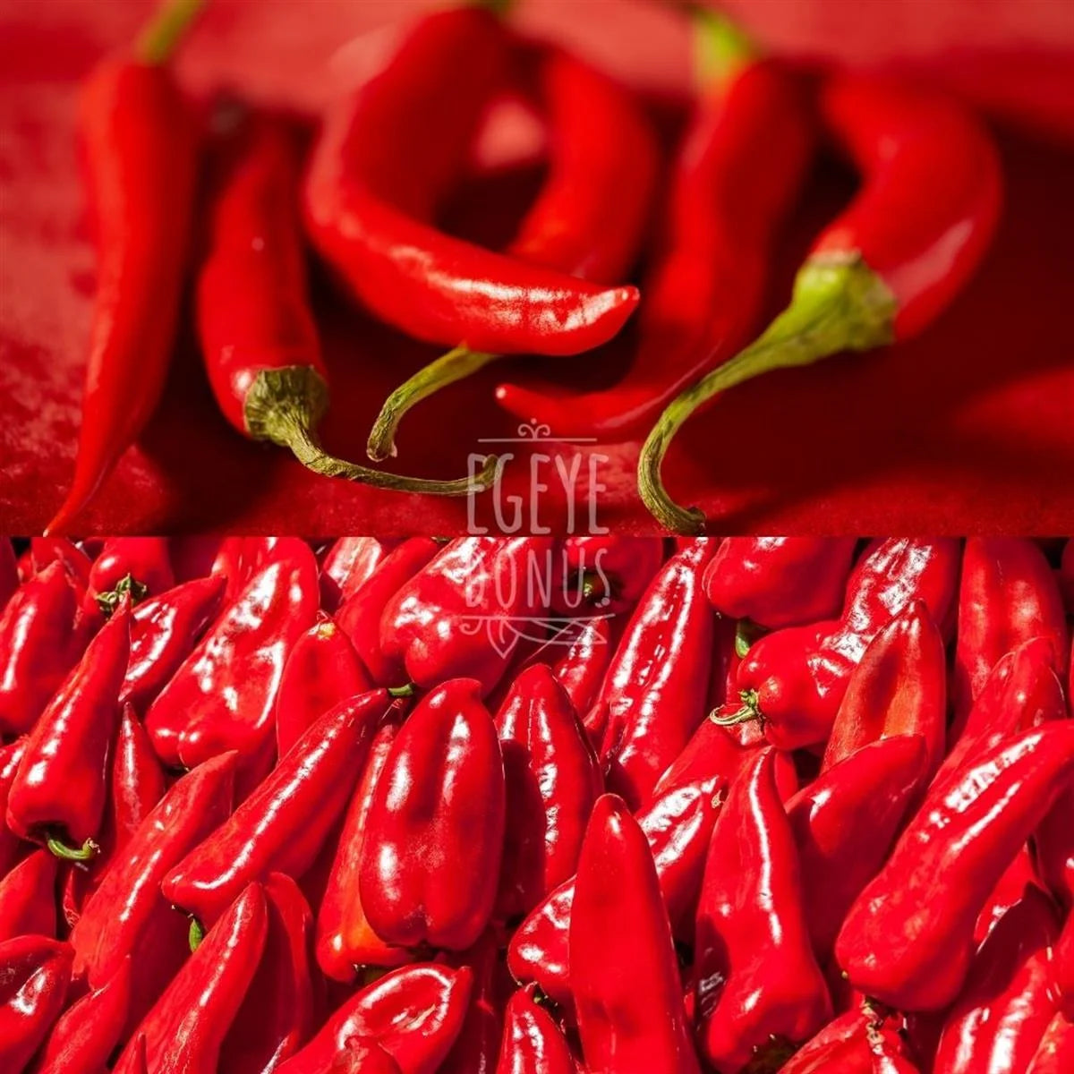 Acı Biber Salçası - 1 kg