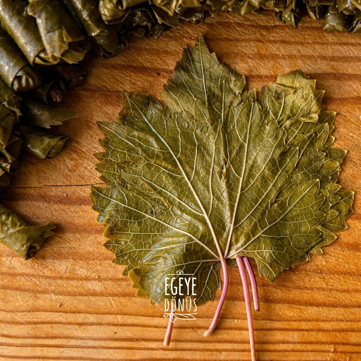 Asma Yaprağı - Kuru Basım