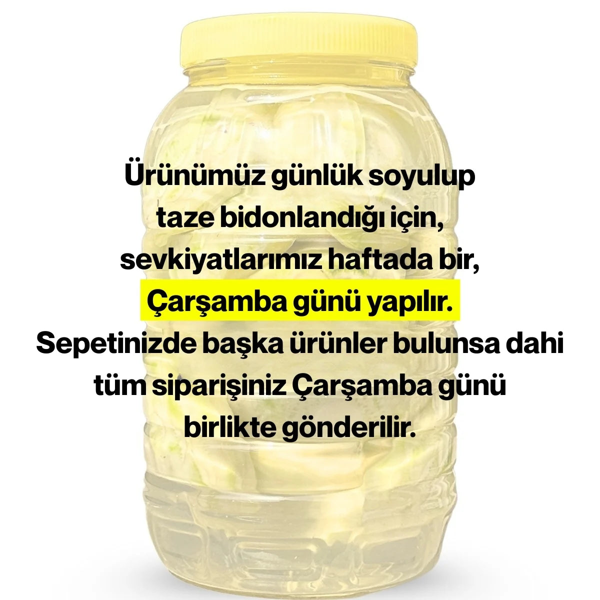 Bidon Çanak Enginar