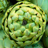 Bidon Çanak Enginar