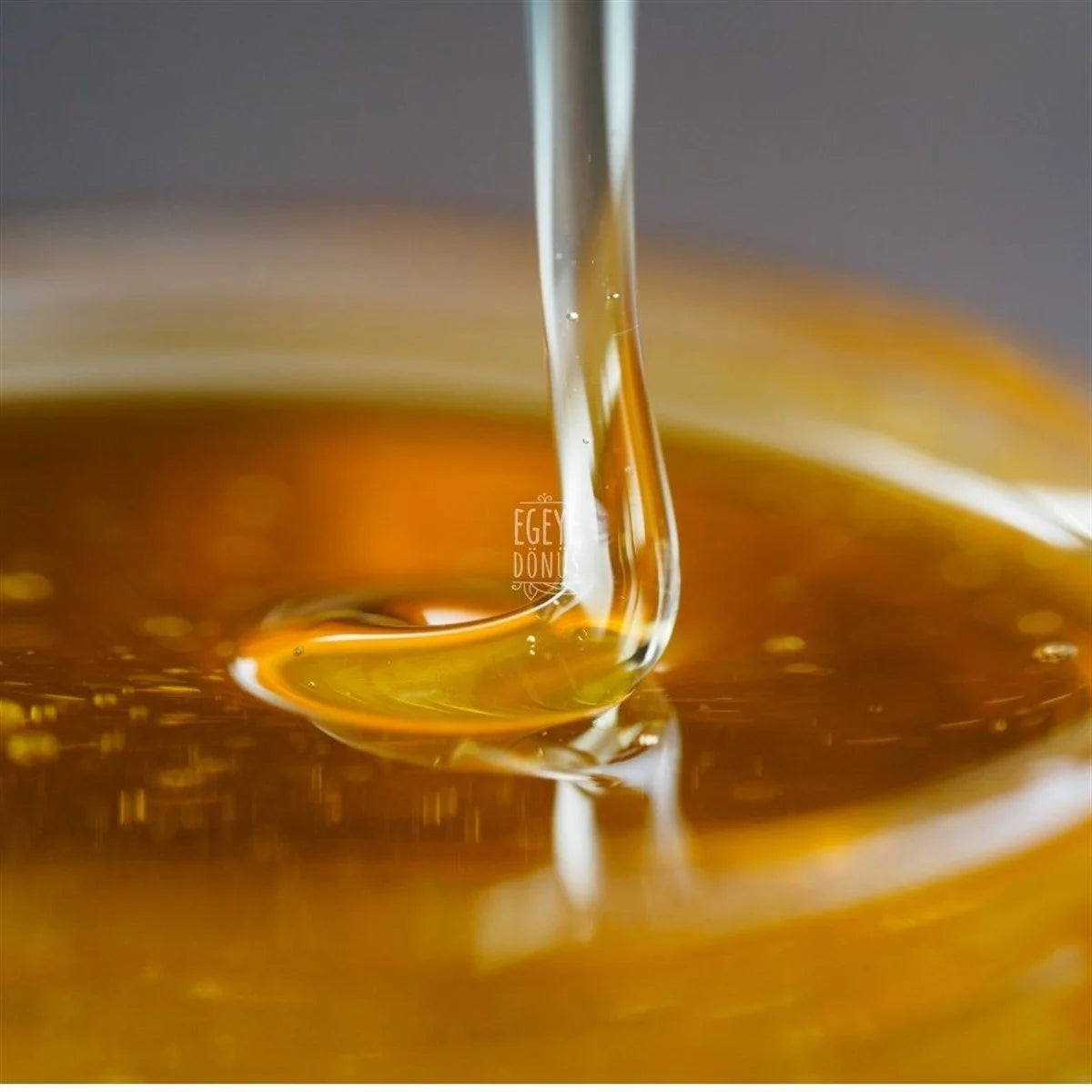 Çam Balı (650 Gr.)