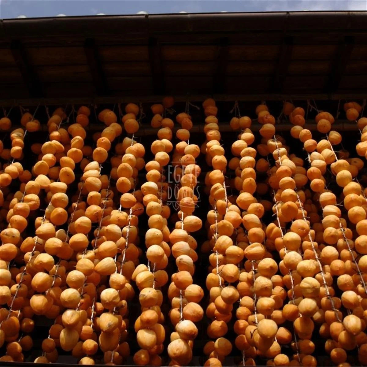 Cennet Hurması (1 Kg.)