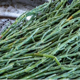 Deniz Börülcesi 5'li