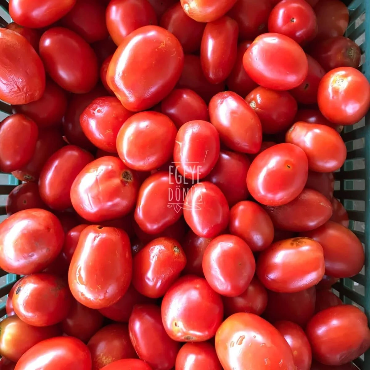 Domates Salçası - 500 Gr