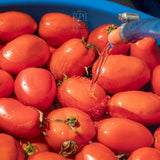 Domates Salçası - 500 Gr