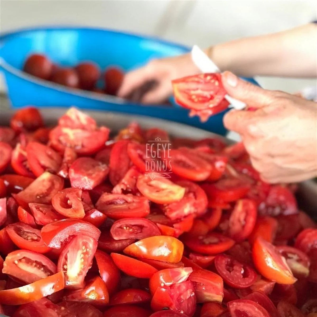 Domates Salçası - 1 Kg