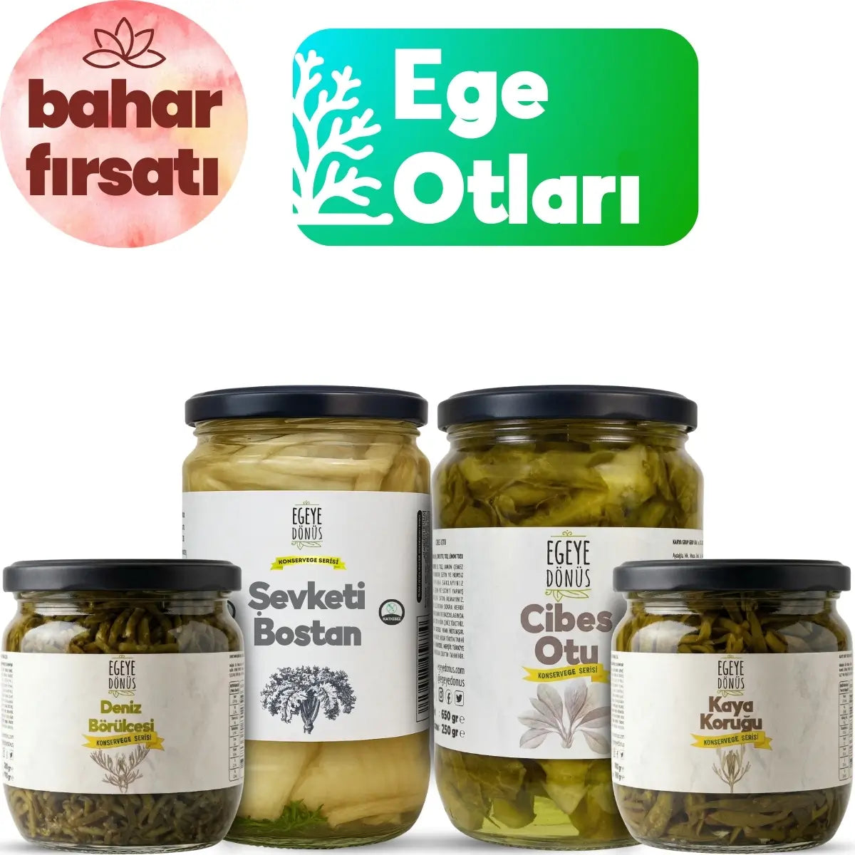 Ege Otları Tanışma Seti