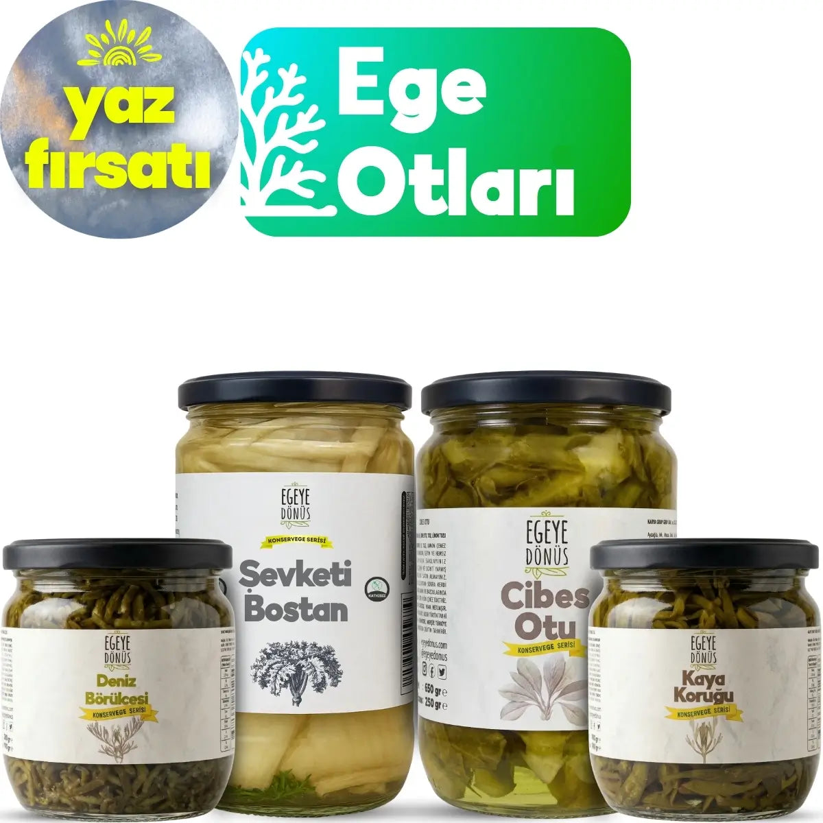 Ege Otları Tanışma Seti