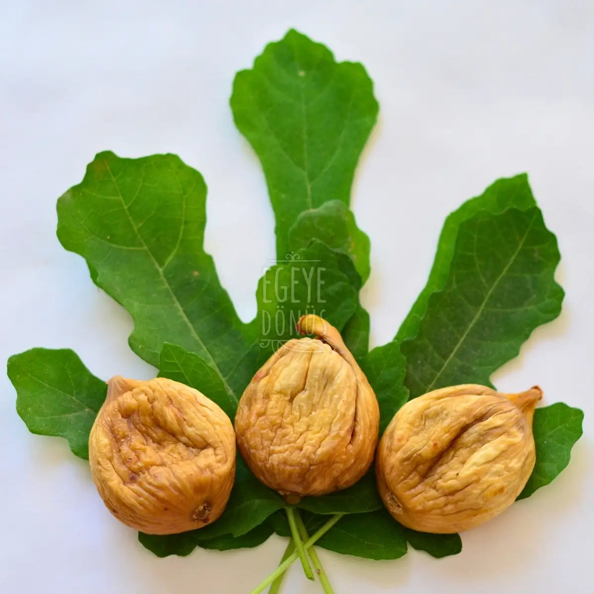 Kuru İncir-Jumbo (500 Gr.)