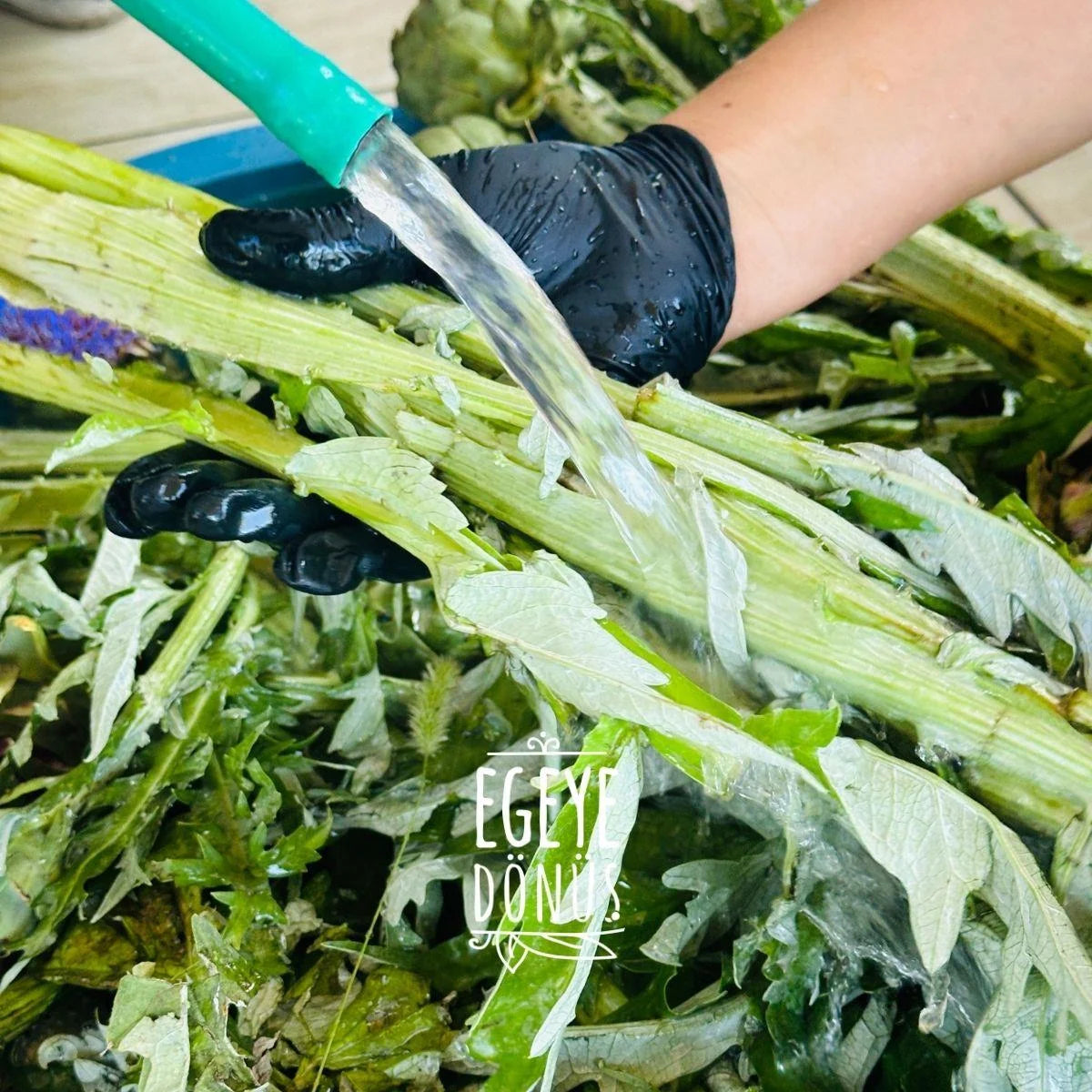 Enginar Suyu (1 Lt.)