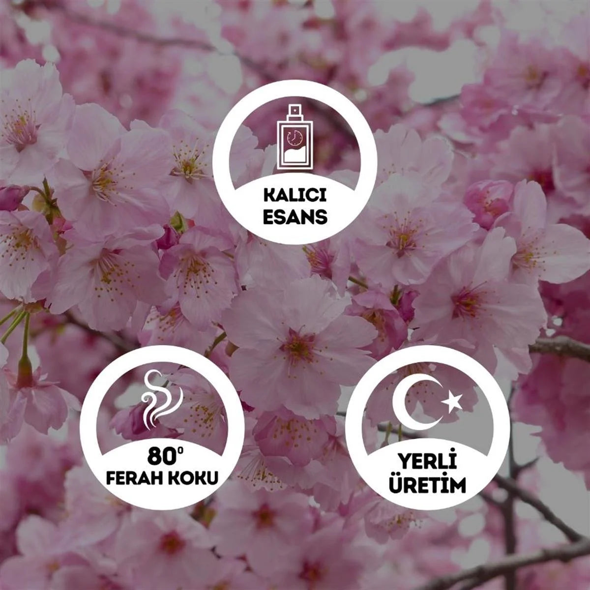 Kiraz Çiçeği Kolonyası