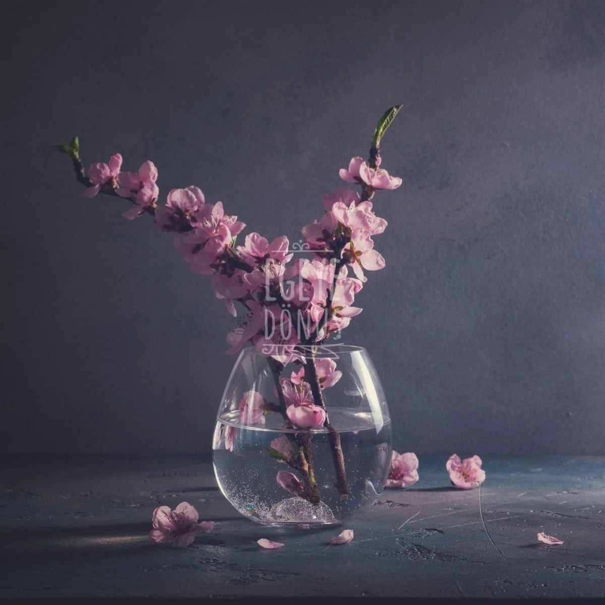 Kiraz Çiçeği Kolonyası