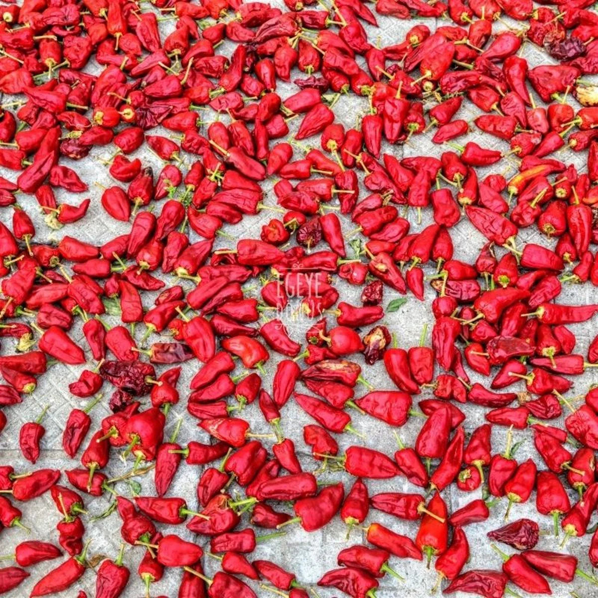 Kırmızı Toz Biber (100 Gr.)