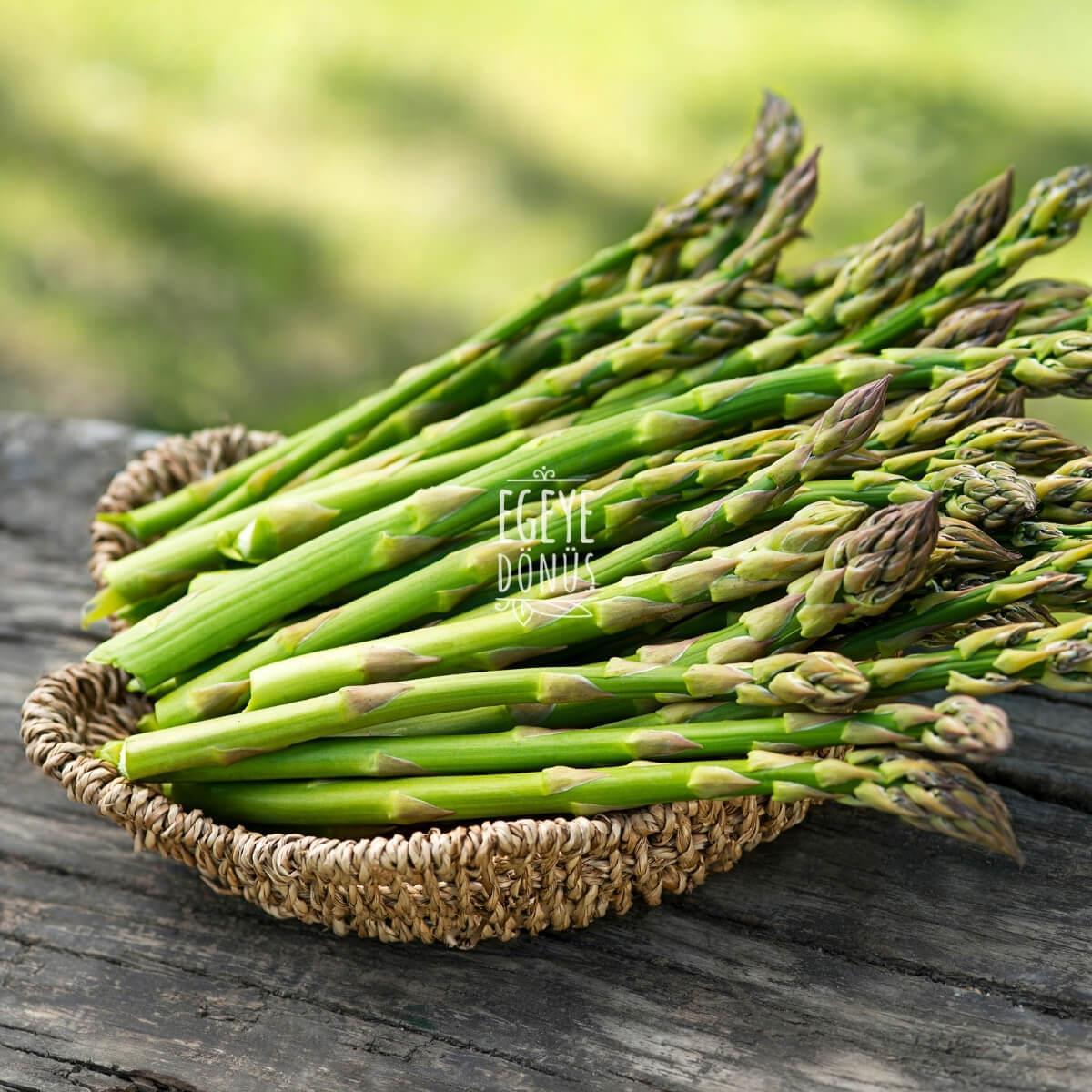 Kuşkonmaz 3'lü Set