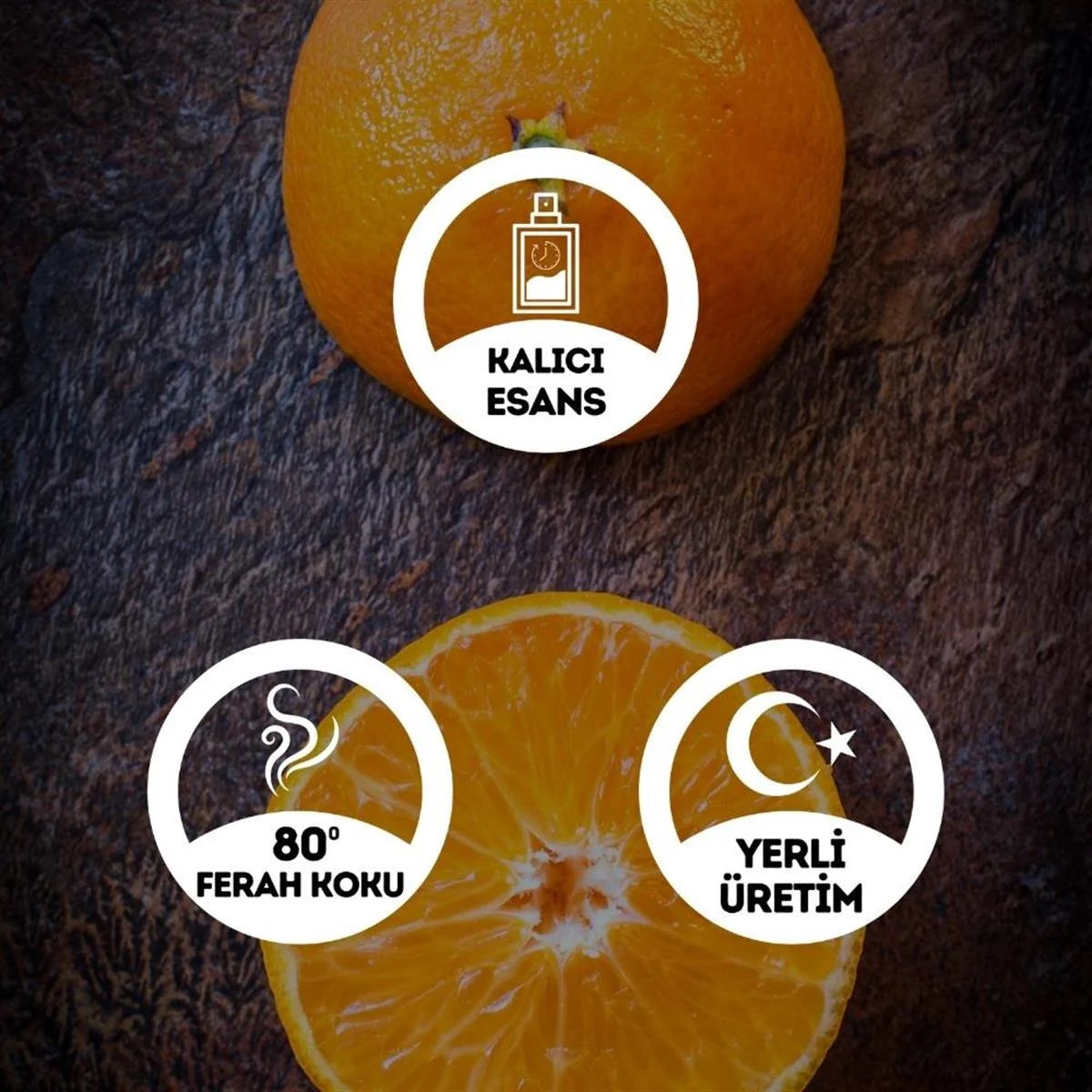 Mandalina Kolonyası