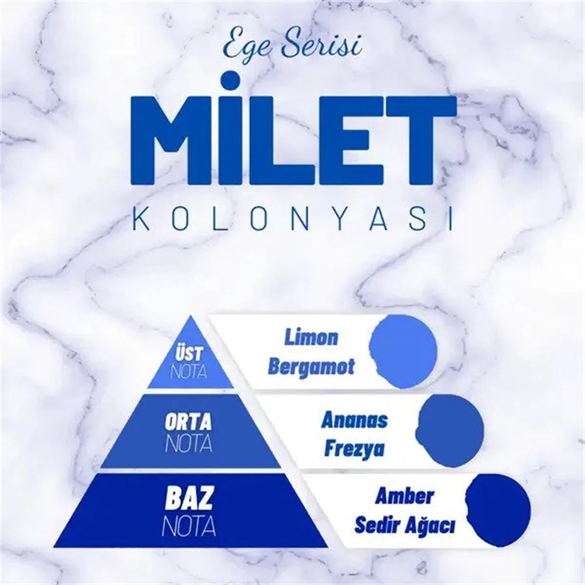 Milet Kolonyası - Sprey