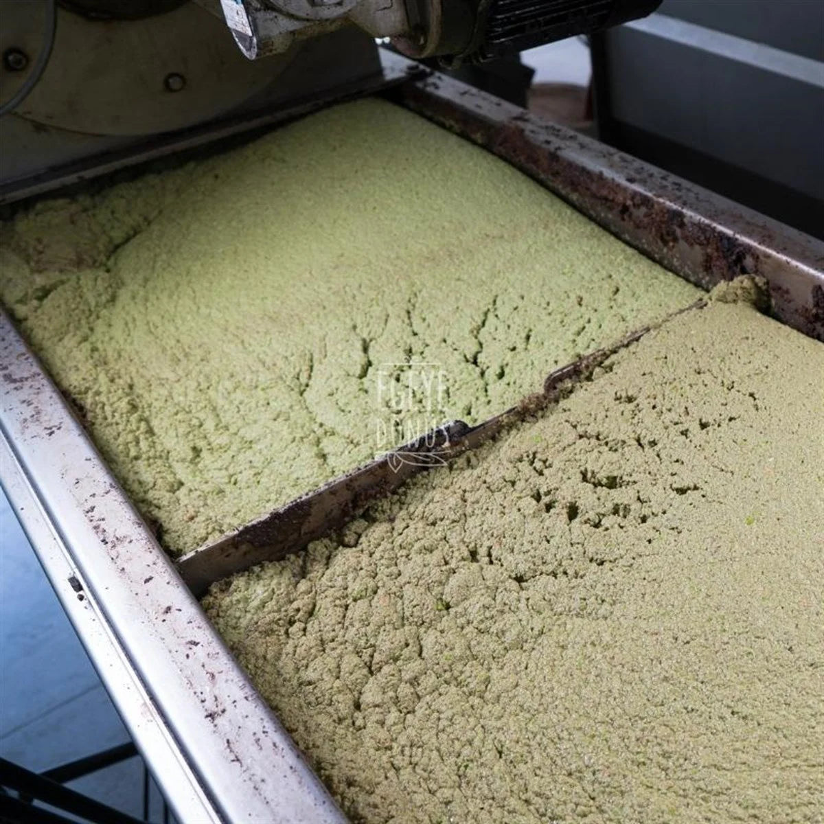 Naturel Sızma Zeytinyağı (3 Lt.)