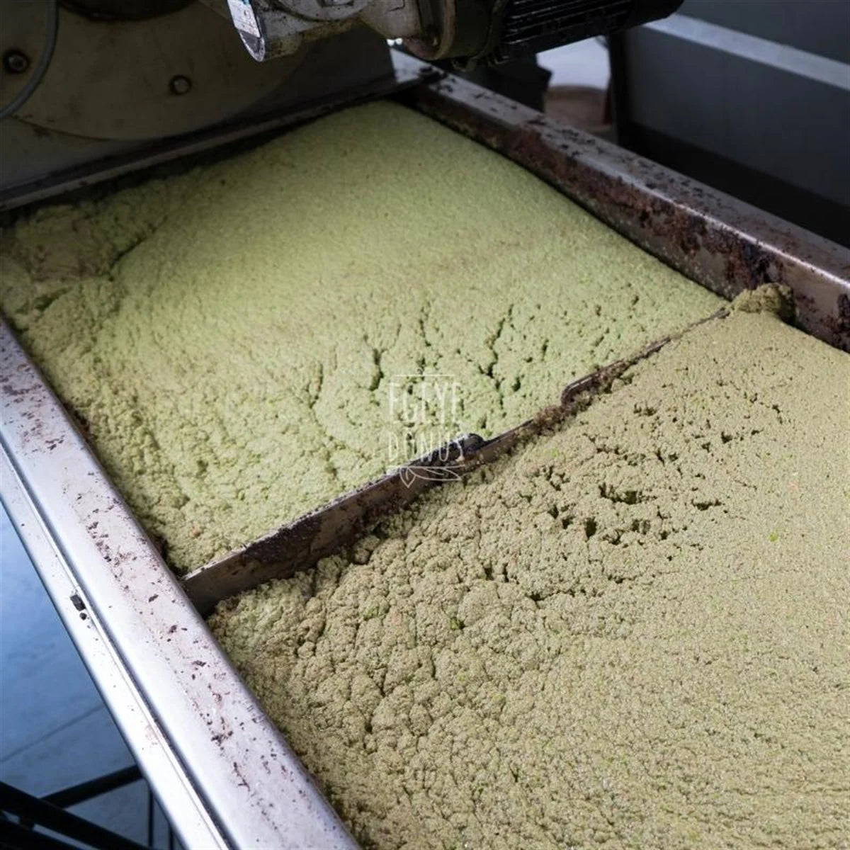 Naturel Sızma Zeytinyağı (5 Lt.)