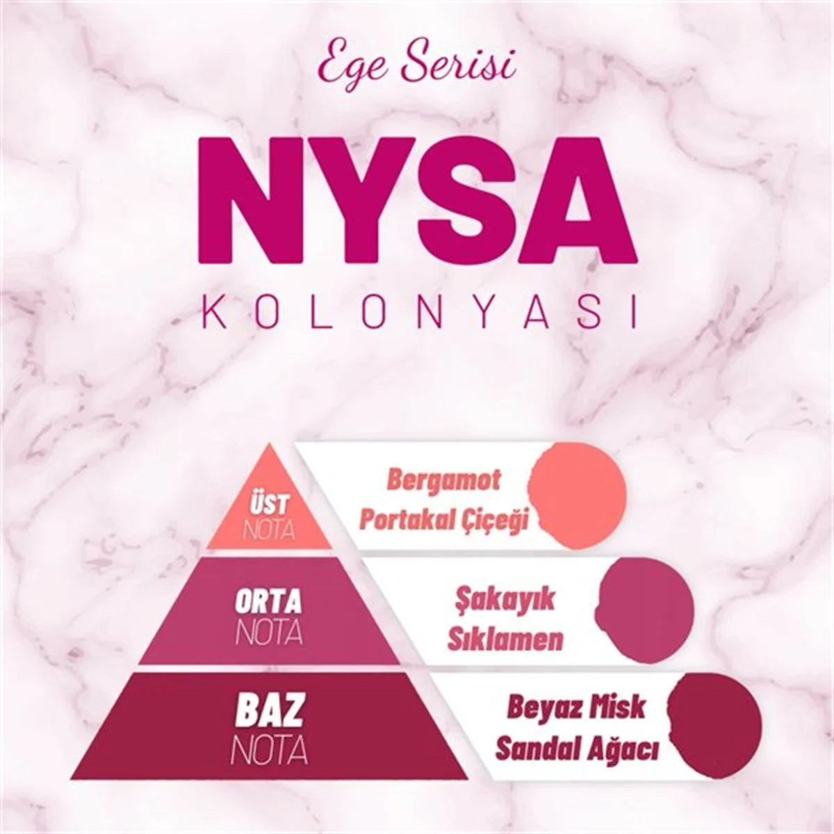 Nysa Kolonyası - Sprey