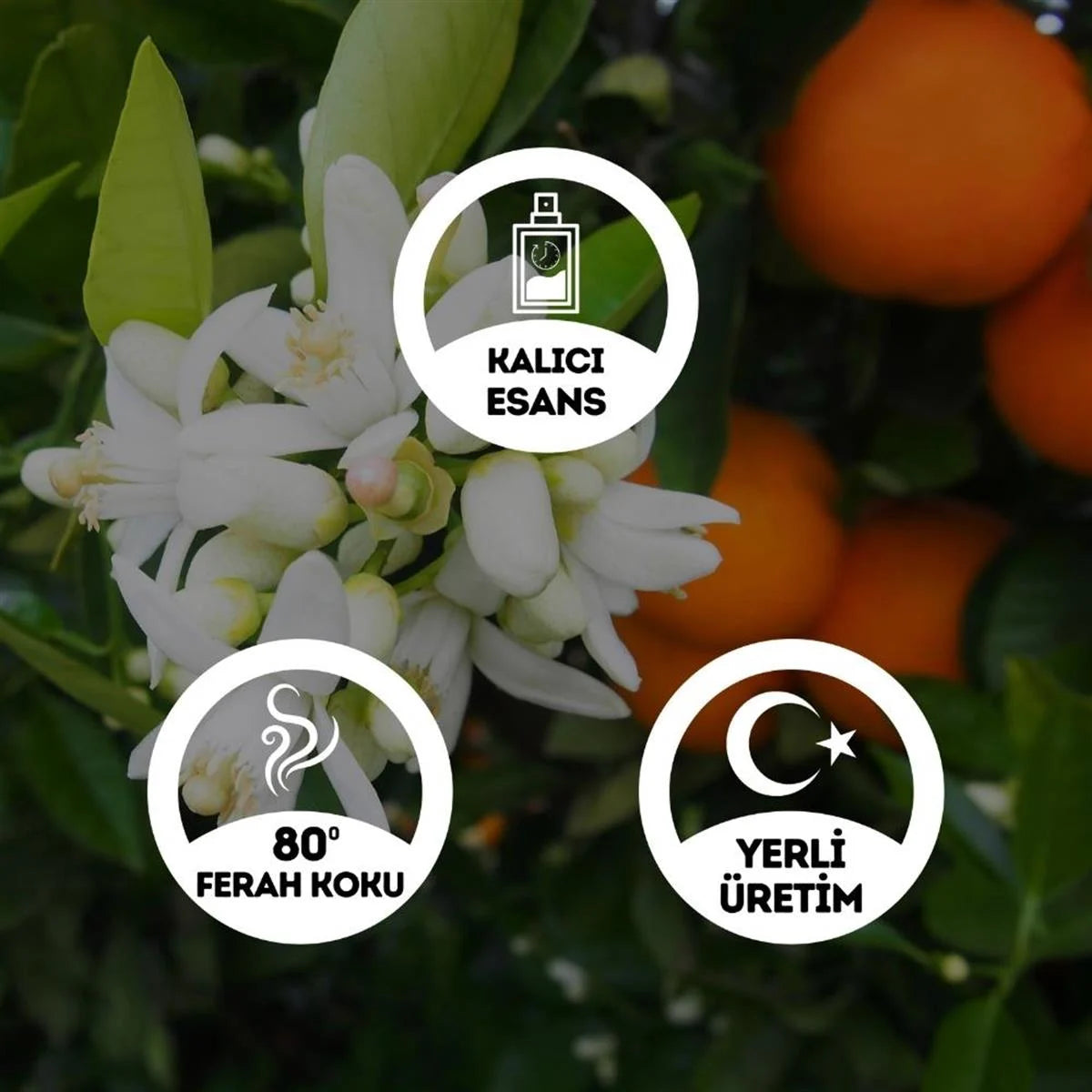 Portakal Çiçeği Kolonyası