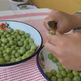 Ham Zeytin Seti