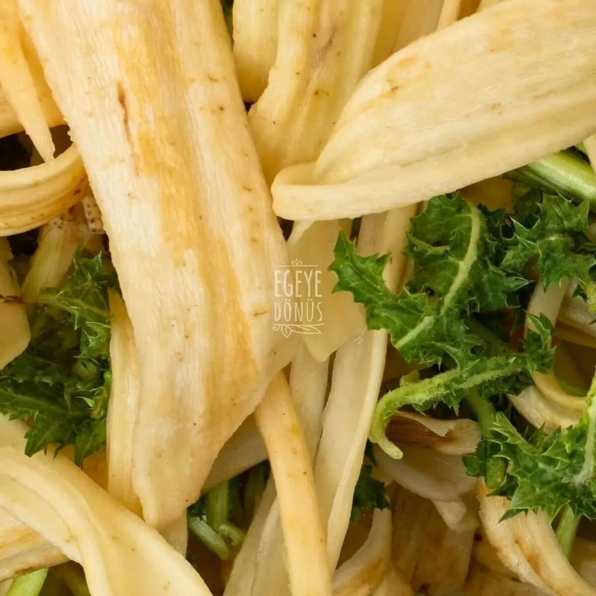 Şevketi Bostan (Büyük Boy) - 3'lü Set